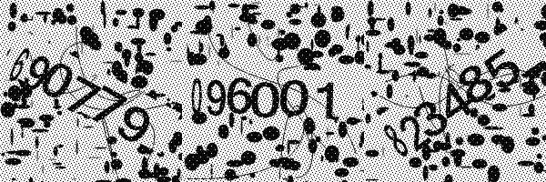 Необходимо включить загрузку картинок в браузере.